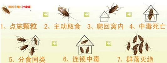 u=2401441912,2043679666&fm=21&gp=0.jpg