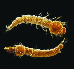 2010072810013827.jpg