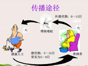 u=1297688143,1760825174&fm=21&gp=0.jpg