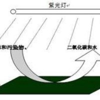 u=1794682906,1026611622&fm=23&gp=0_����.jpg
