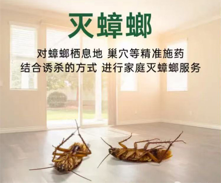 微信图片_20251013103407_35_26.jpg 微信图片_20251013103407_35_26.jpg