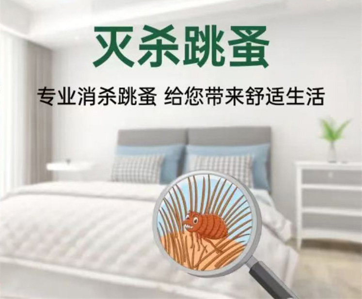 微信图片_20251013103408_38_26.jpg 微信图片_20251013103408_38_26.jpg