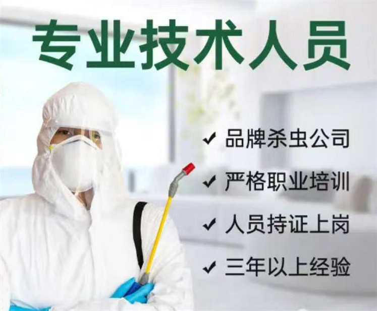 微信图片_20251013103410_40_26.jpg 微信图片_20251013103410_40_26.jpg