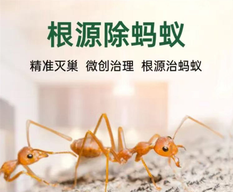 微信图片_20251013103408_37_26.jpg 微信图片_20251013103408_37_26.jpg