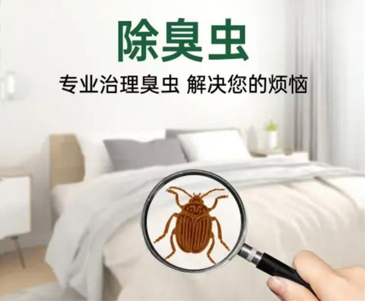 微信图片_20251013103407_36_26.jpg 微信图片_20251013103407_36_26.jpg